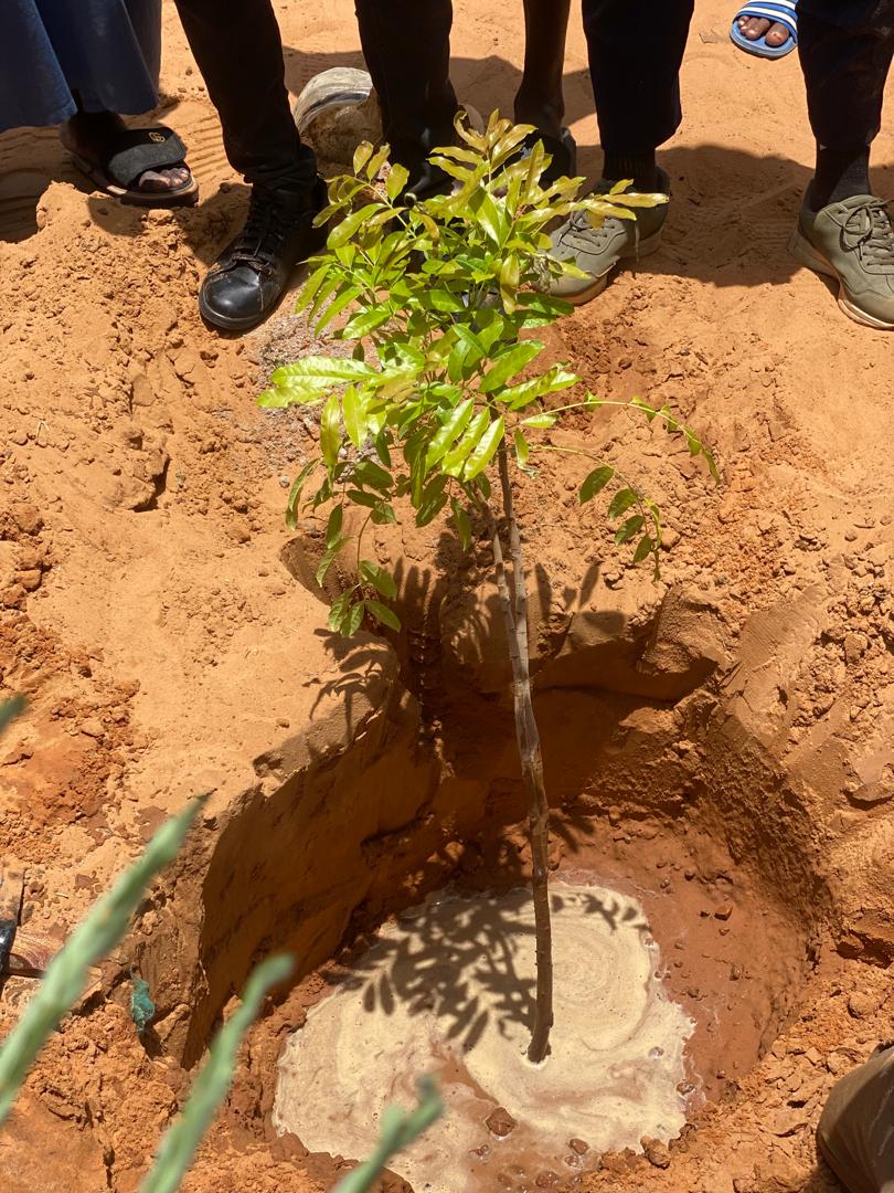 communedeguedevillage14