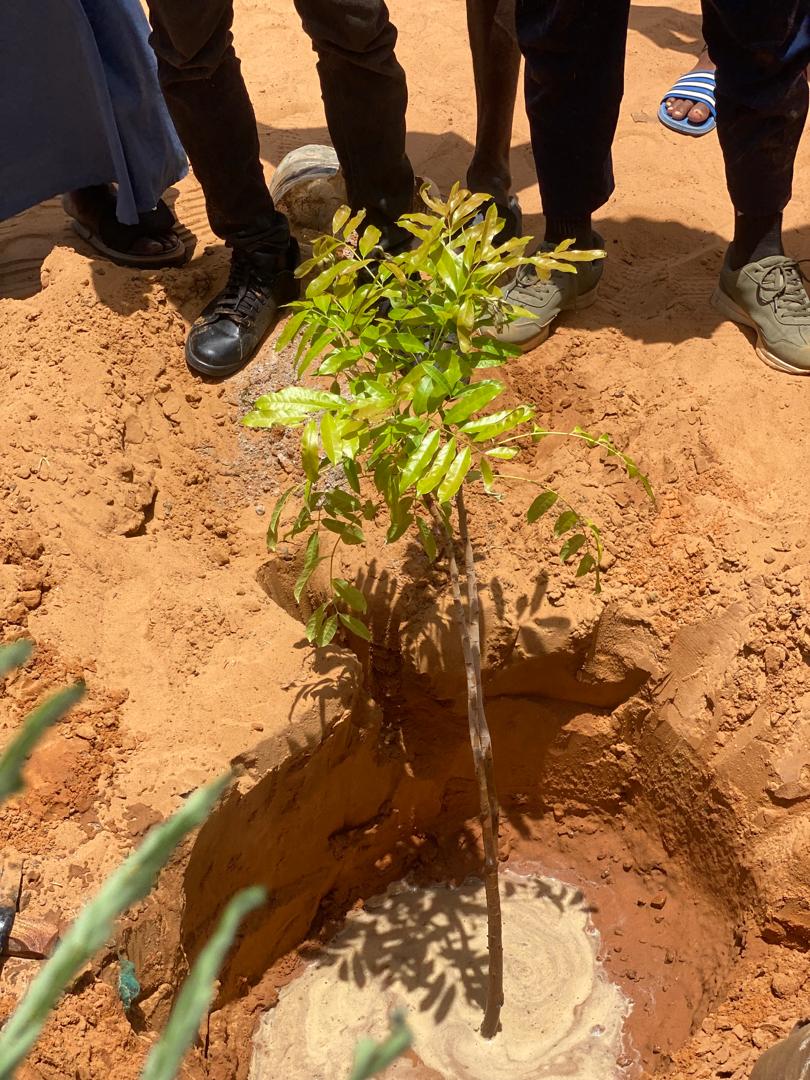 communedeguedevillage17