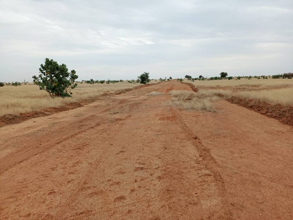 Aménagement des pare-feux dans la Commune de Guédé Village 2025