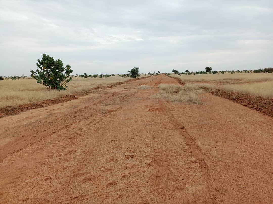 Aménagement des pare-feux dans la Commune de Guédé Village 2025